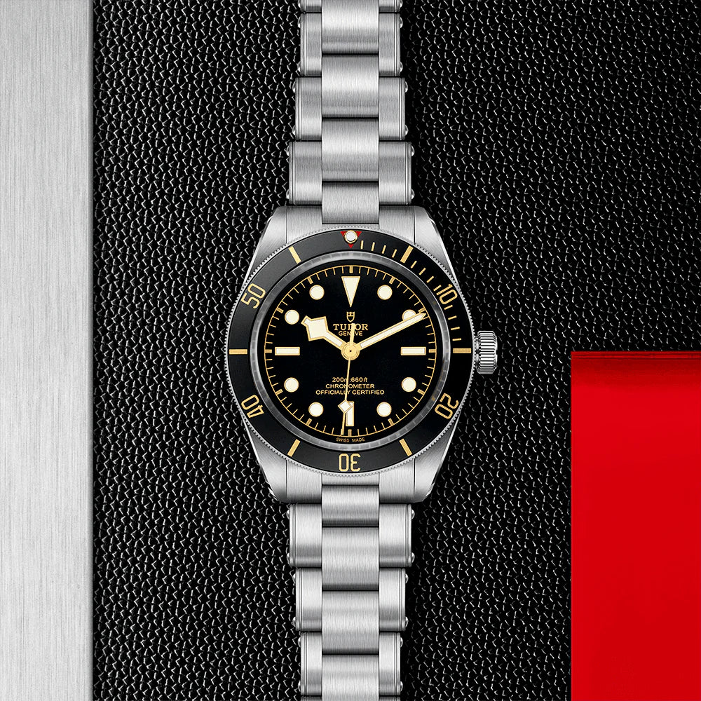 TUDOR Black Bay 58 39mm Black Dial & Bezel Automatic Bracelet Watch M79030N-0001 - Image 2