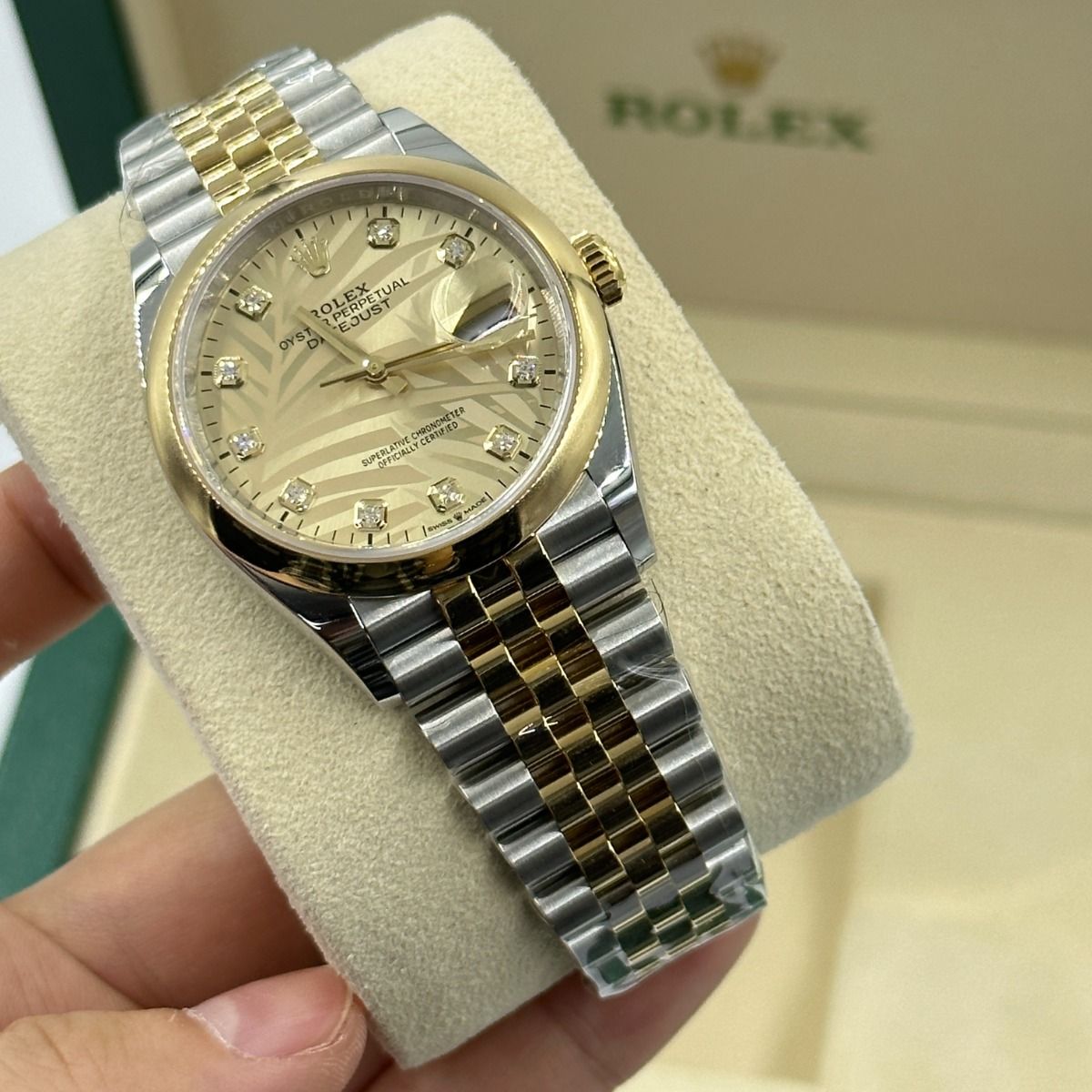 Rolex Datejust 36mm 126203 Golden Palm Dial Domed Bezel Oyster Bracelet - Image 12