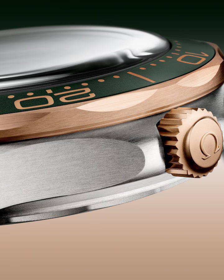 Omega Seamaster Diver 300m, Titanium and OMEGA’s exclusive 9K Bronze Gold, 42mm 210.90.42.20.10.001 - Image 2