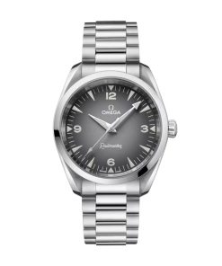 Omega Seamaster Railmaster Automatic 38mm 235.10.38.20.06.001