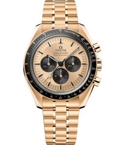 Omega Speedmaster Moonwatch Professional Co-Axial Master Chronometer 42mm 310.60.42.50.99.002