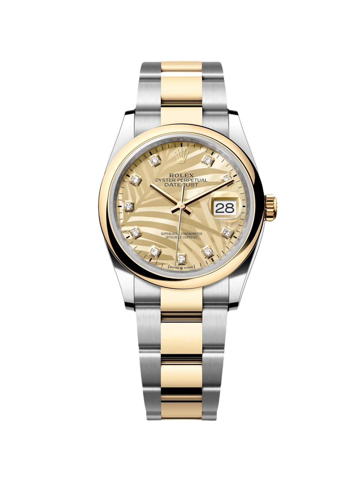 Rolex Datejust 36mm 126203 Golden Palm Dial Domed Bezel Oyster Bracelet - Image 2