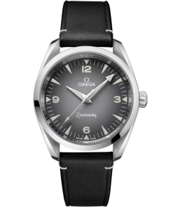 Omega Seamaster Railmaster Watch, 38mm Gray Dial  235.12.38.20.06.001