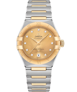Omega Constellation Ladies' Selection 29mm steel �?yellow gold on steel �?yellow gold 131.20.29.20.58.001