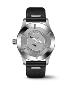 Alternative view of IWC Pilot's Watch Mark XX 40mm IW328207