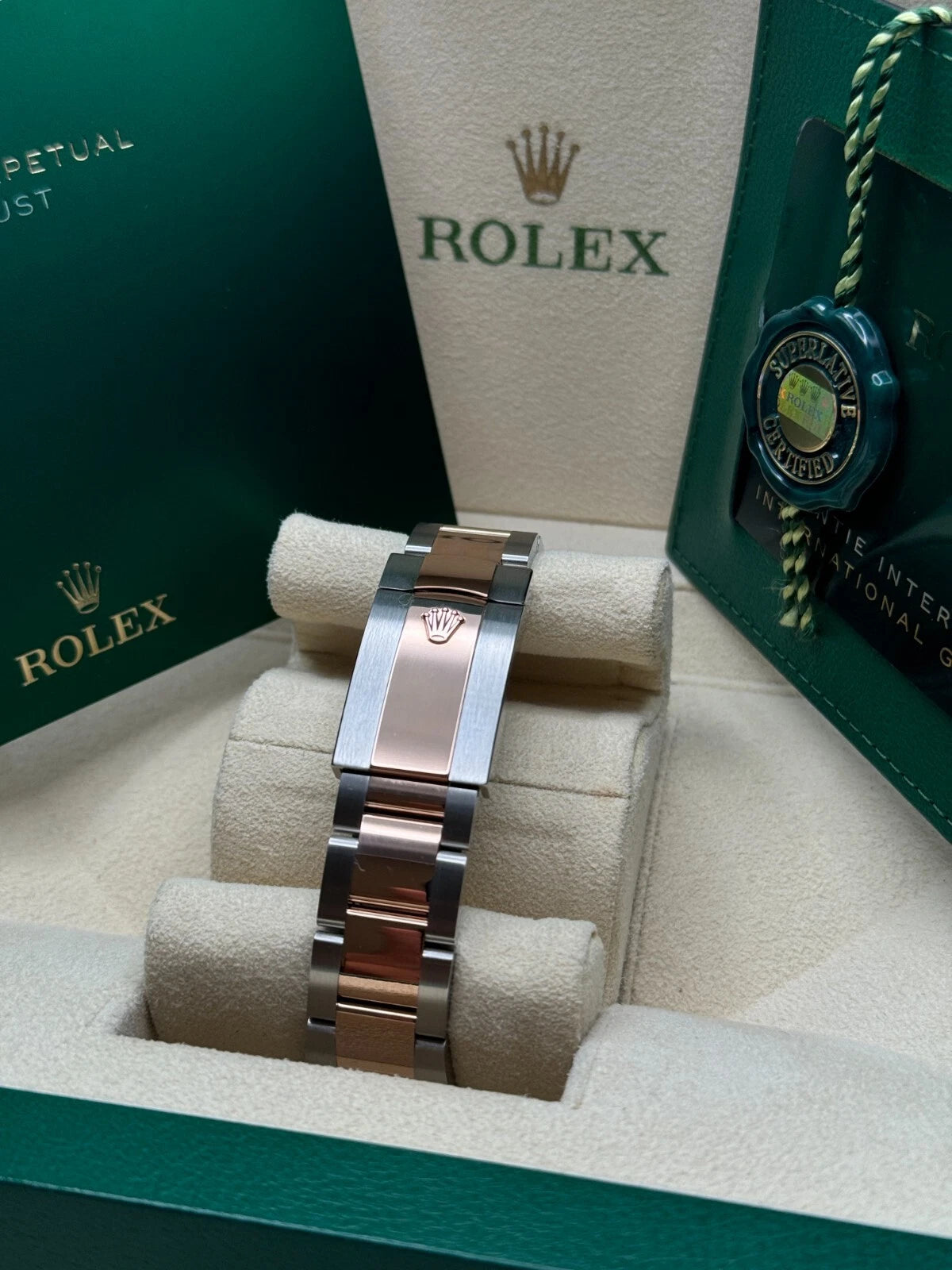 Rolex Datejust 41mm 126331 Sundust Index Oyster Steel and Everose Gold Watch - Image 2