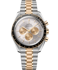 Omega Speedmaster Moonwatch Professional 42 mm Silver Dial Stainless Steel and Moonshine�?18k Yellow Gold Bracelet 310.20.42.50.02.001
